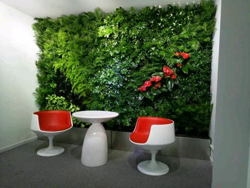 1591606477271920.jpg 2.jpg